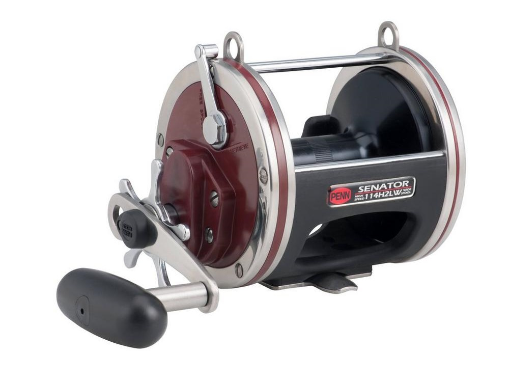Penn Special Senator Star Drag Sea Multiplier Reel