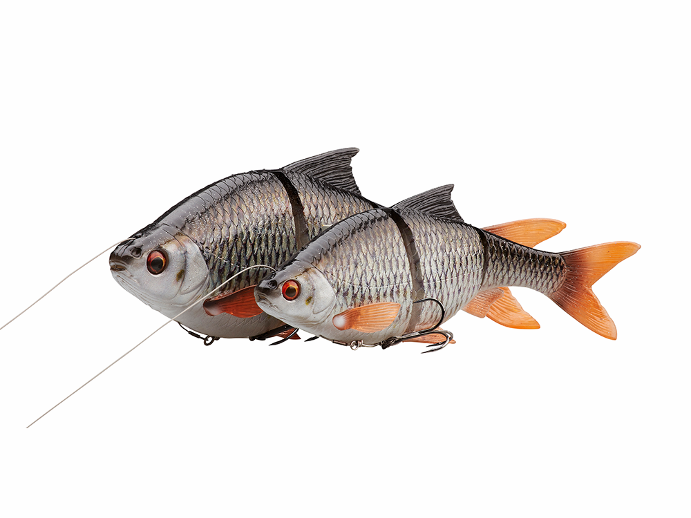 Leurre Souple Savage Gear 4D Line Thru Roach 18 Cm - Pour Brochet - Neuf