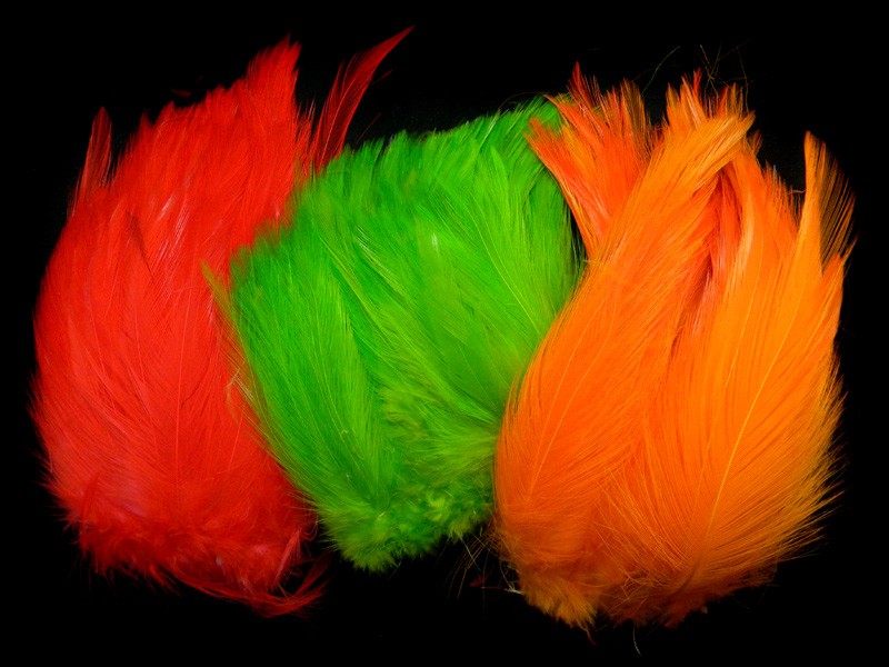 Wapsi Neck Hackle Strung Fly Tying Feathers