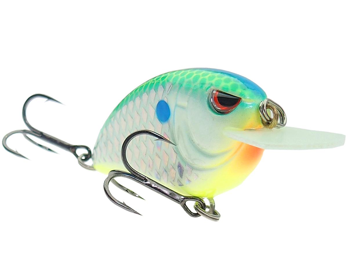 dirty bomb fishing lures Fish Daddy Minnow 3/8oz / Blinking Pink activated LED that blinks to attract fish from great distances in clear or stained water Fish Daddy Dirty Bomb Spoon