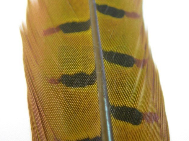 Veniard Pheasant - Tail - Fly Tying Feathers - PROTACKLESHOP