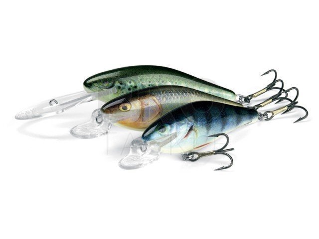 Lure Salmo Executor