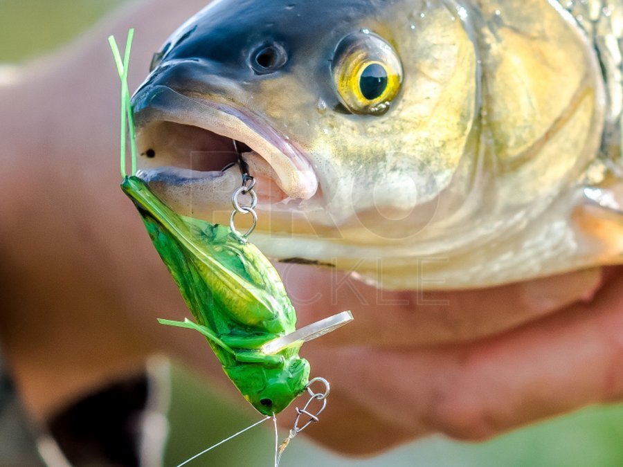 Imago Lures Lures Hopper - Lures imitating insects - PROTACKLESHOP