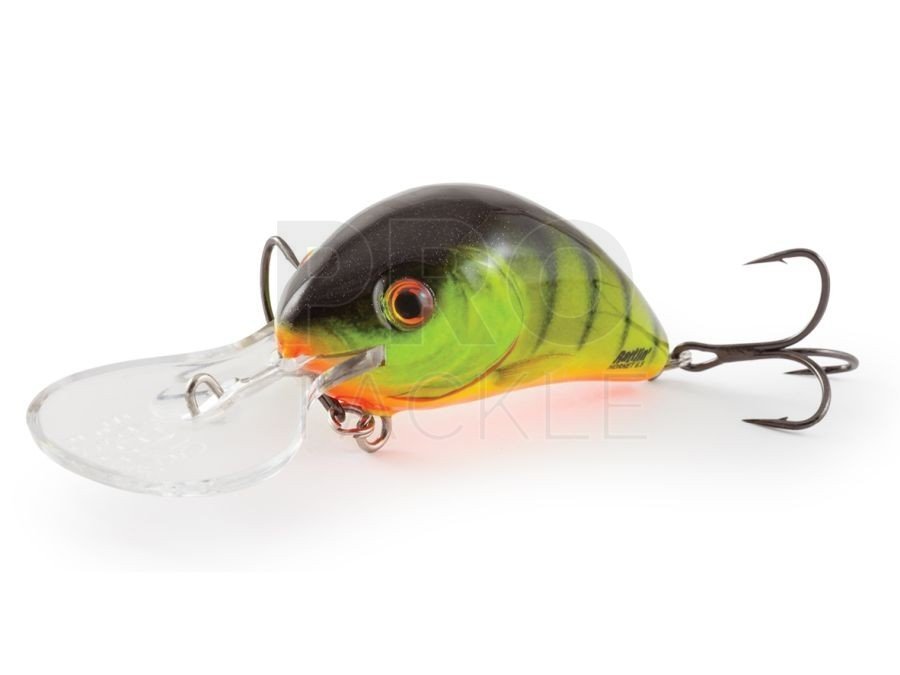 Salmo Hornet Rattlin Lures for bass, trout, pike, perch, zander