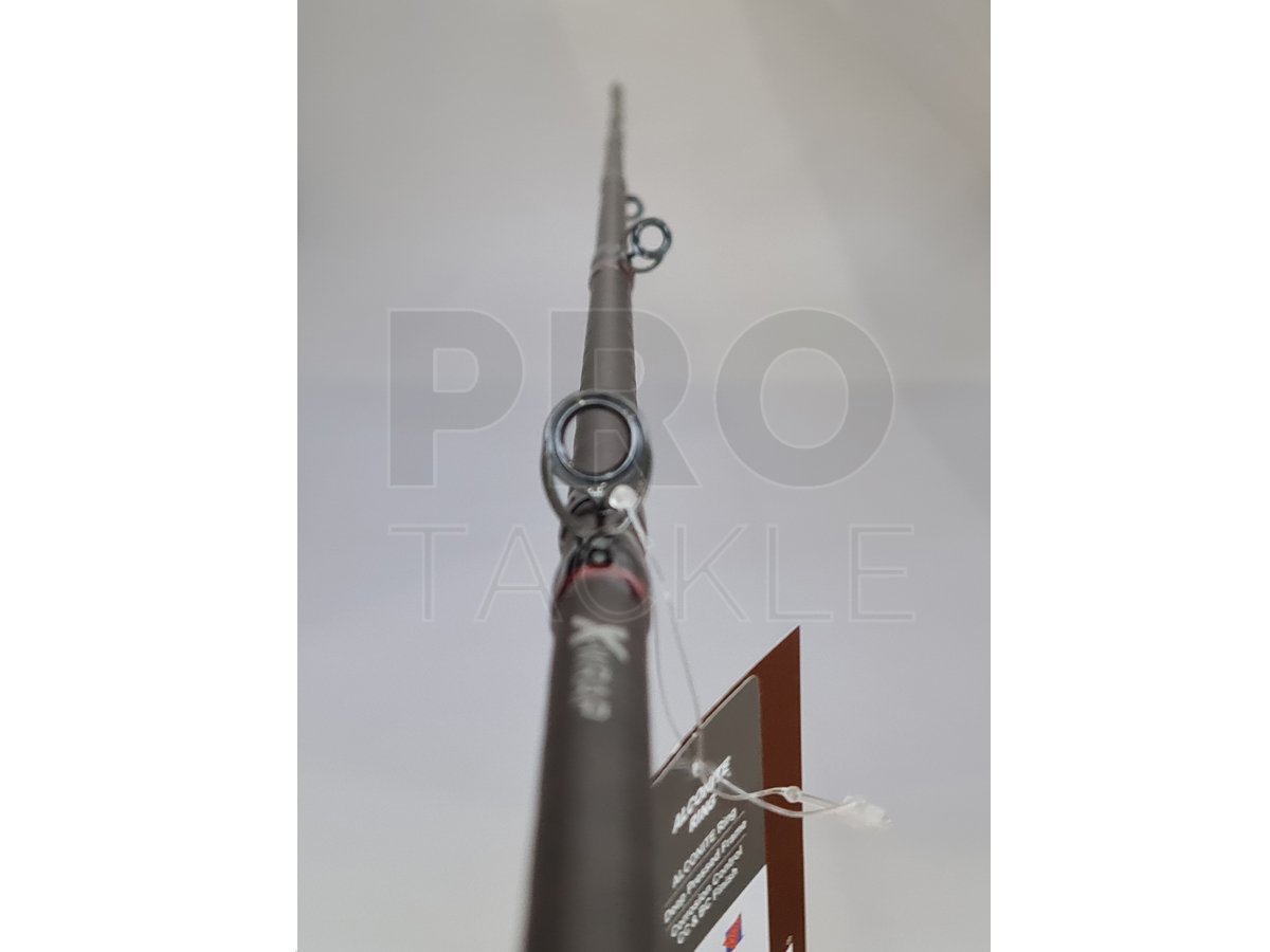 Abu Garcia Beast Pro Pelagic Casting Rod - Casting rods, baitcasting rods -  PROTACKLESHOP