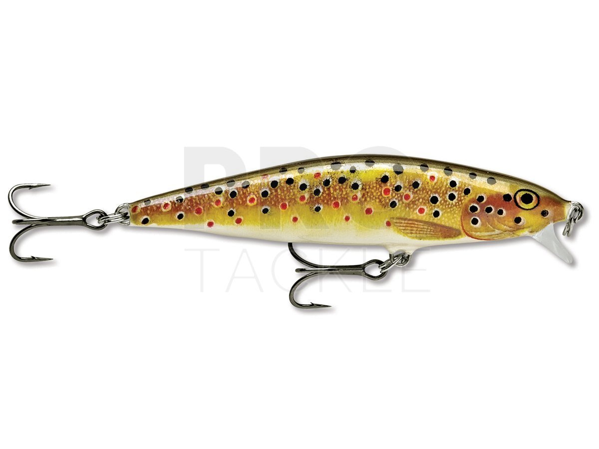 Hard Lures Rapala Flat Rap