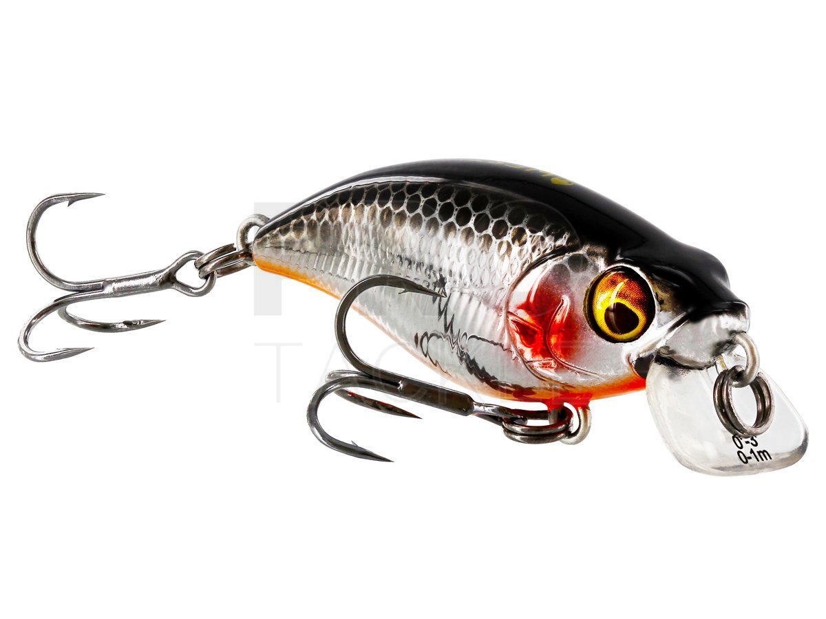 Hard Lures for perch Westin BuzzBite SR Crankbait