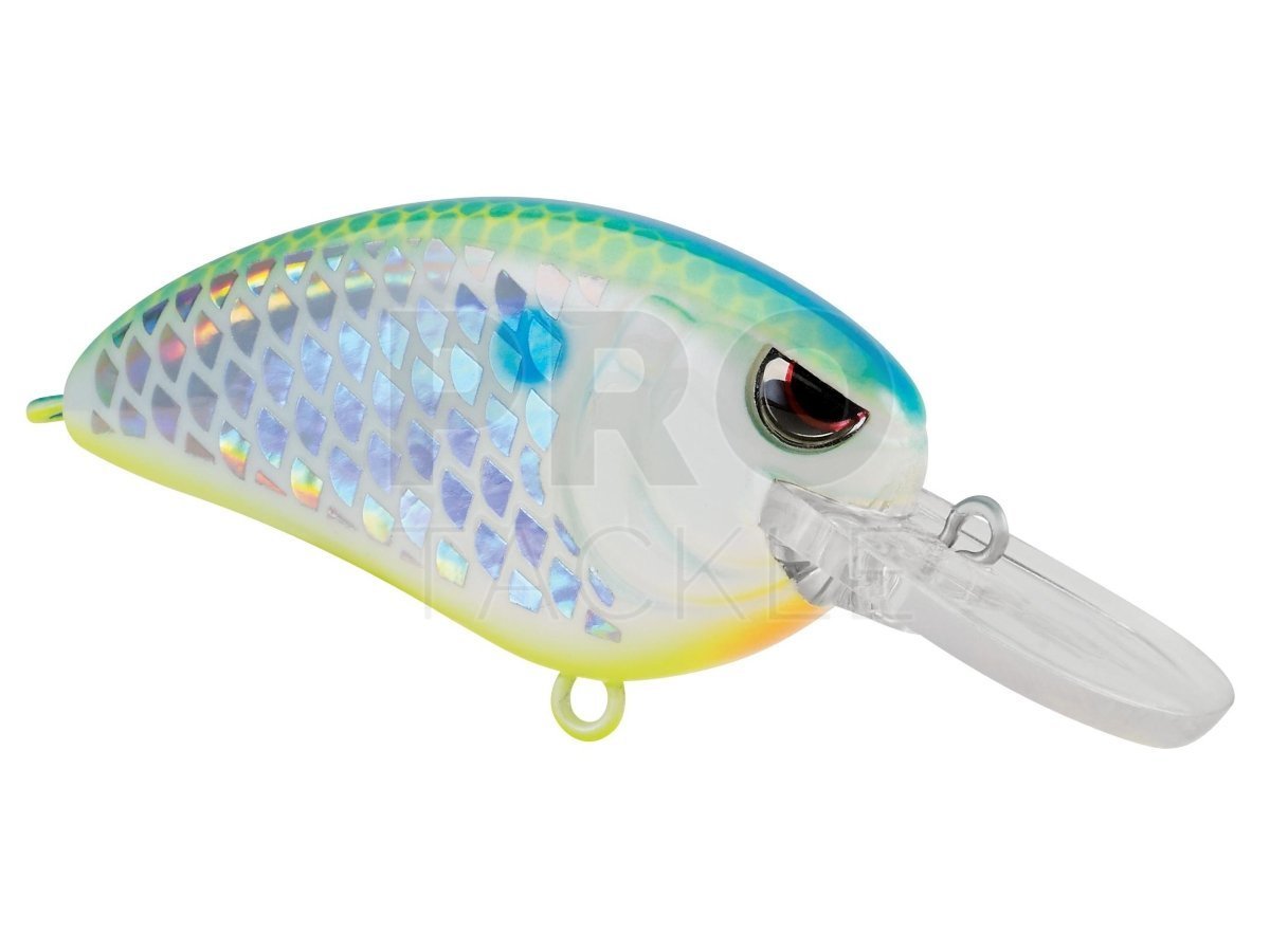 SPRO Little John Type R MD 50 - Lures crankbaits - PROTACKLESHOP