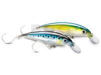 New products 2020 - Rapala, Cormoran, DAM, Savage Gear, Traper