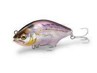 Megabass, Penn, Preston