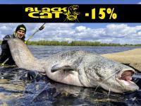 -15% discount on Black Cat, Quantum and DAM! Reels Shimano Stella FK almost 30% OFF!