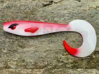 Shimano, Favorite, Great Fish