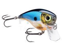 New Rapala and Daiwa products for 2020  - already in stock