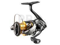 New products Dragon, Shimano, Prologic