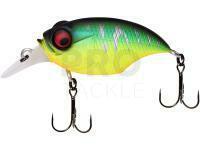 Megabass, Shimano, Westin