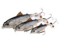 Savage Gear Lures 3D SmashTail Minnow