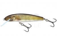 Hard Lure Salmo Minnow Floating 7 | 7cm 6g | 2 3/4" 3/16oz - Grayling