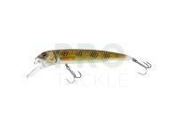 Hard lure Savage Gear Sucker Flanker 20cm 58g - Sucker Glitter