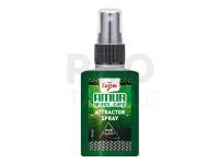 Carp Zoom Amur Attractor Spray