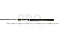 Rod Favorite Totem 130 Series TTM1C-662-80 1.98m 20-80g Fast Casting