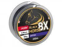 Jaxon Braided lines Black Horse 8X Catfish