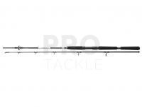 Rod Daiwa BG Offshore Boat 2.10m 150-400g