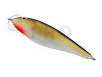 Dorado Dead Fish