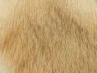 Wapsi Deer Body Hair - 026 Bleached