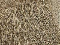 Wapsi Deer Body Hair - 227 Natural Brown