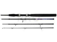 Rod Dega Nordic Seamaster Power Travel 2.10m 80-200g