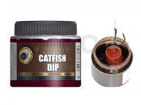 Carp Zoom Carp Zoom Catfish Dip