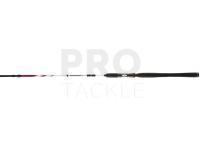 Sea fishing rod Penn Squadron II SW Spin 3.00m 20-80g