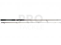 Rod W4 Powershad 2nd 9` 270 CM XH 30-90 G
