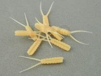 Hemingway's Evolution Stone Fly Body Tail - XL  Tan