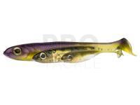 Fish Arrow Flash-J Shad soft baits