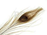 FMFly Peacock Eyes - Beige