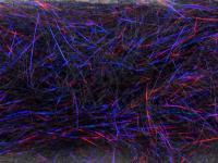 FMFly Peacock Hair - Black/Violet/Red