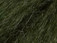 Future Fly Baitfish fibre - Dark Olive