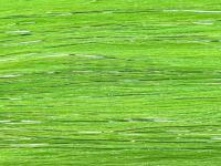 Future Fly Salmo Flash - Chartreuse