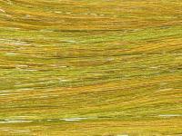 Future Fly Salmo Flash - Golden Olive