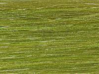 Future Fly Salmo Flash - Olive