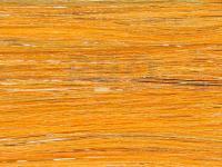 Future Fly Salmo Flash - Orange