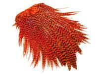 FutureFly Freshwater Rooster Saddle Grizzly - Orange