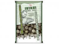 Carp Zoom Amur Big Catch Boilies 800g 20mm