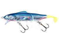 Lure Jaxon Gerit 11cm + 3cm F color SN