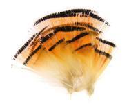 Wapsi Golden Pheasant Tippets