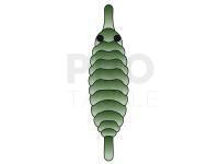 Hemingway`s Gammarus back - Green