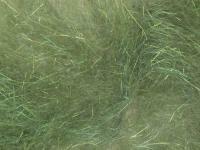 Hemingway`s Peacock Dubbing - 01 Green