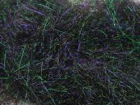 Dubbing FMFly Sparkle Dub - Rainbow Black