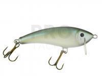 Gloog Hermes lures